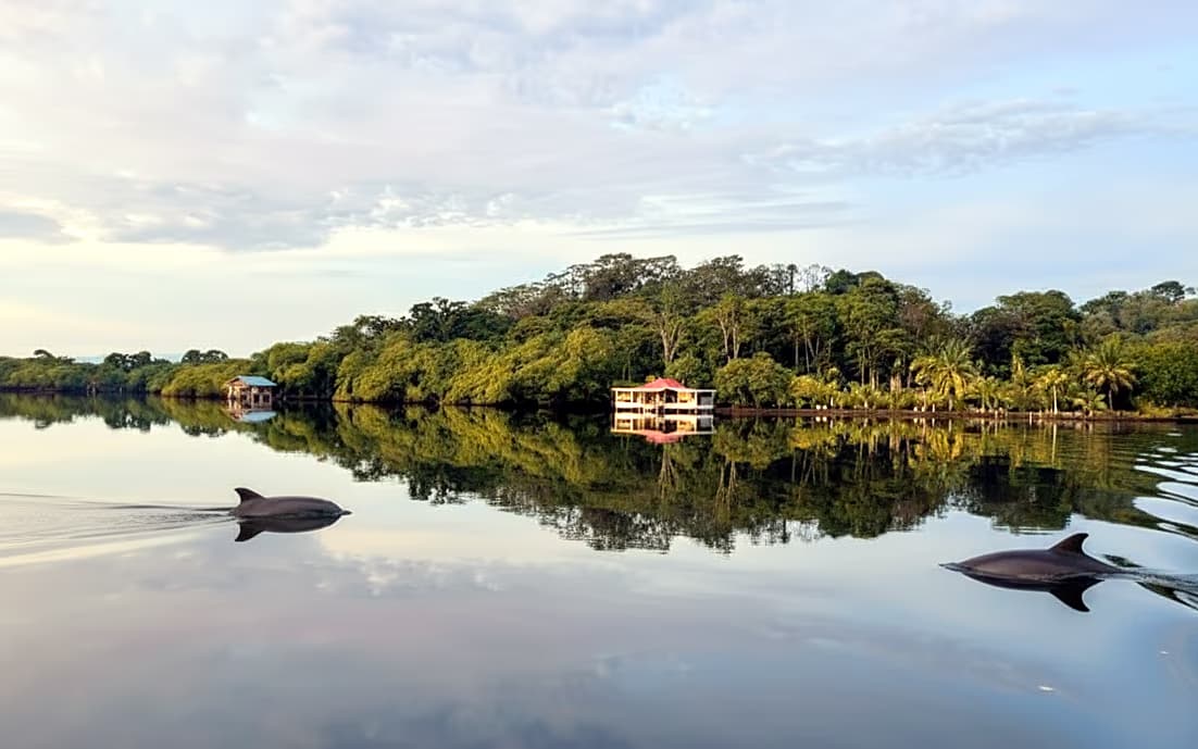 View of Dolphin Blue Paradise in Bocas del Toro