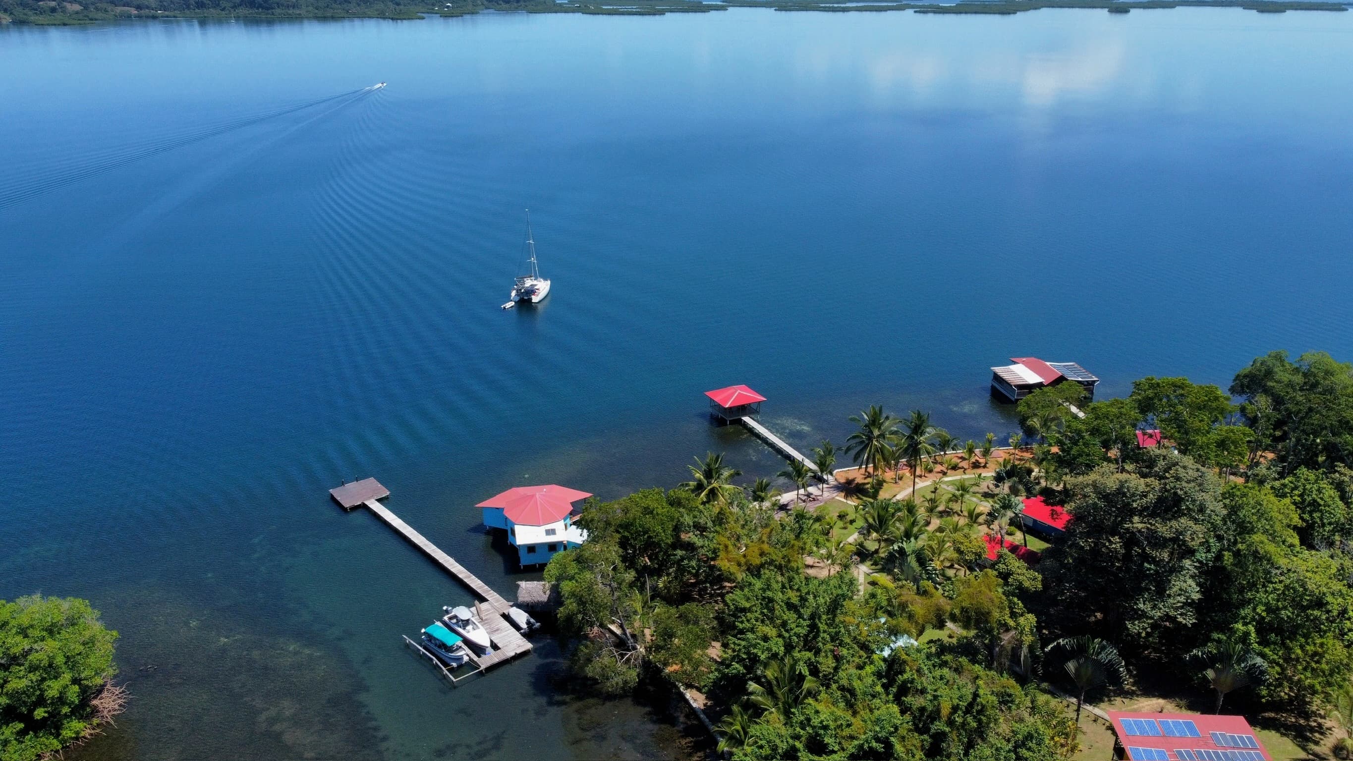 Aerial view of Dolphin Blue Paradise eco-resort on Isla Cristóbal, Bocas del Toro - stories and updates from our tropical paradise