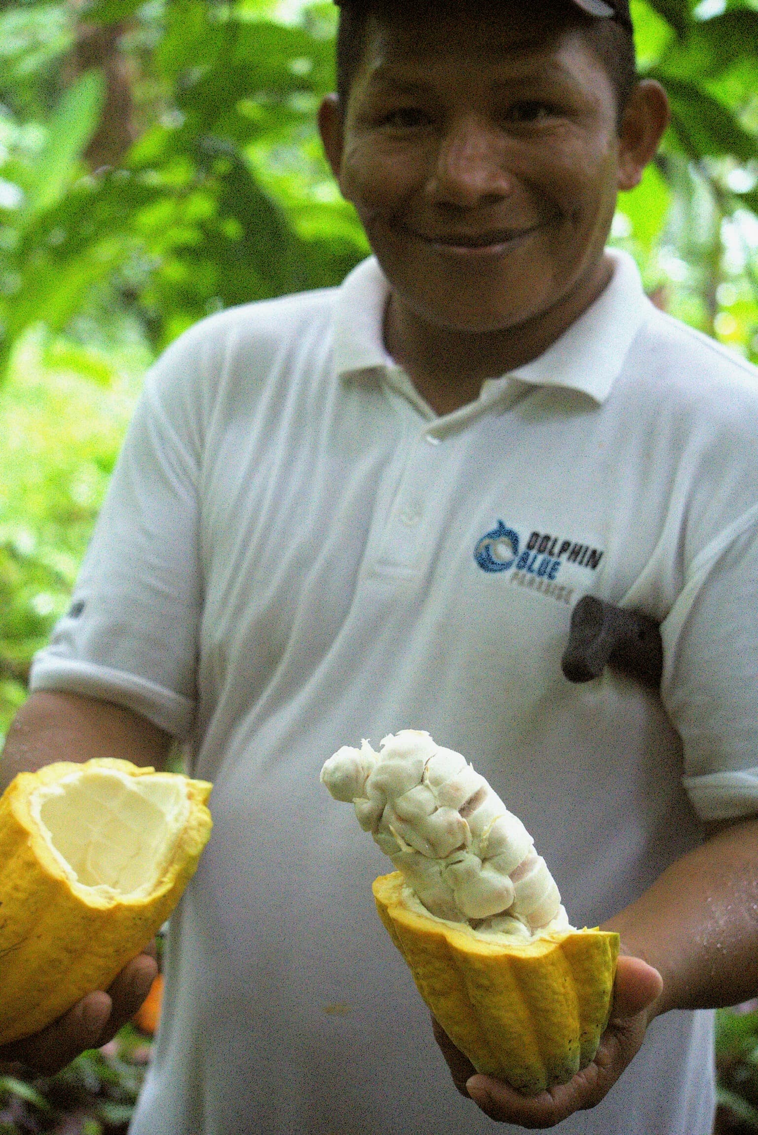 Ngäbe-Buglé Indigenous Communities partnership with Dolphin Blue Paradise eco-resort, Bocas del Toro, Panamá