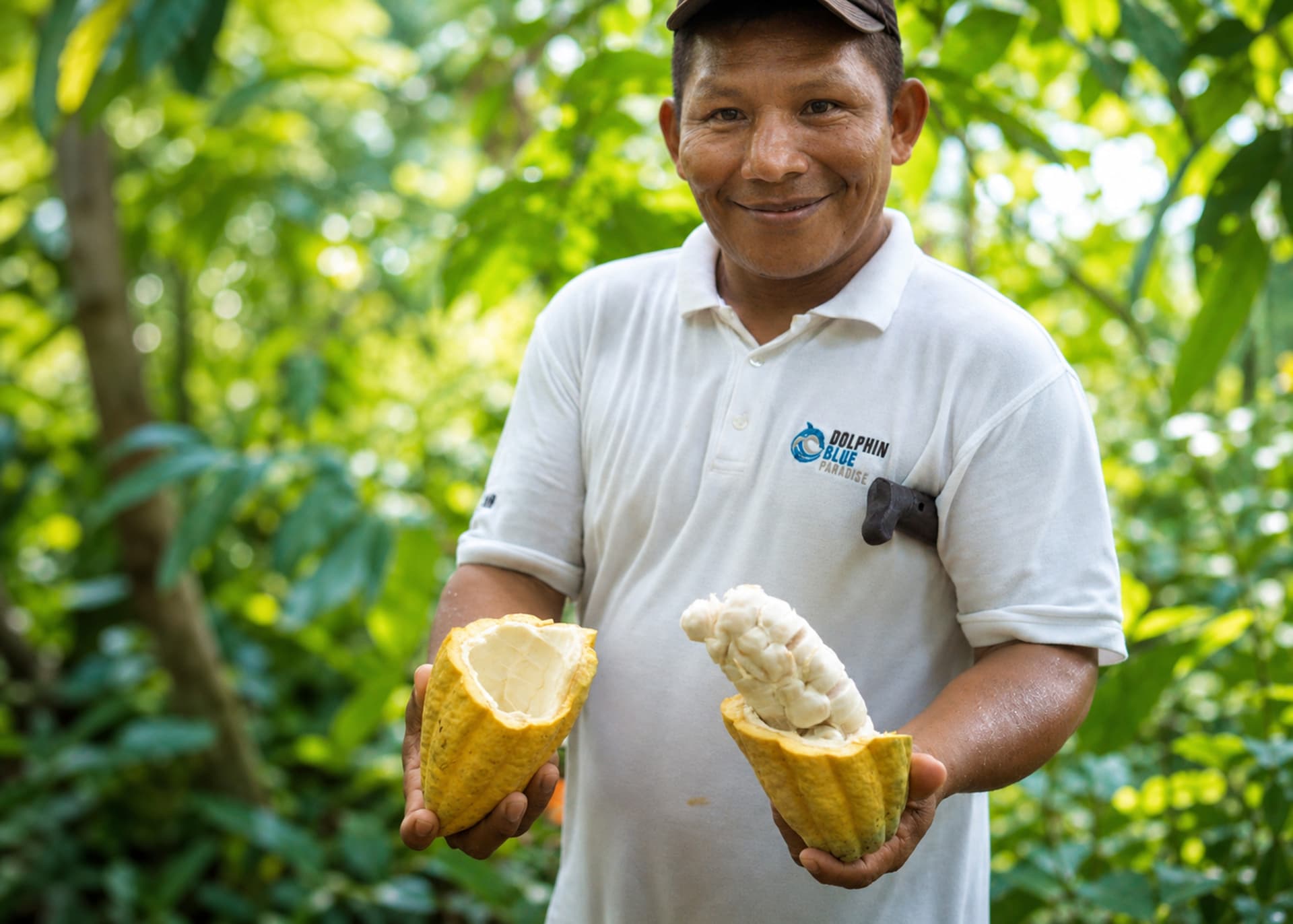 Ngäbe-Buglé Indigenous cacao co-op, a Dolphin Blue Paradise partner