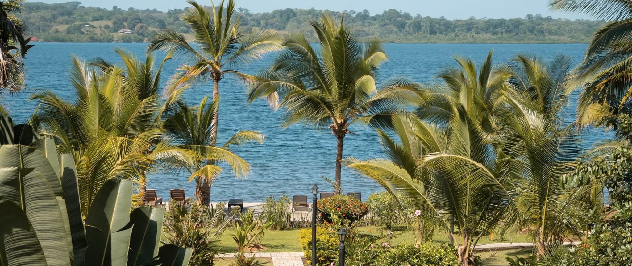 Tropical palms welcoming arrival at Dolphin Blue Paradise - looking towards calm waters of Dolphin Bay, Bocas del Toro, Panamá