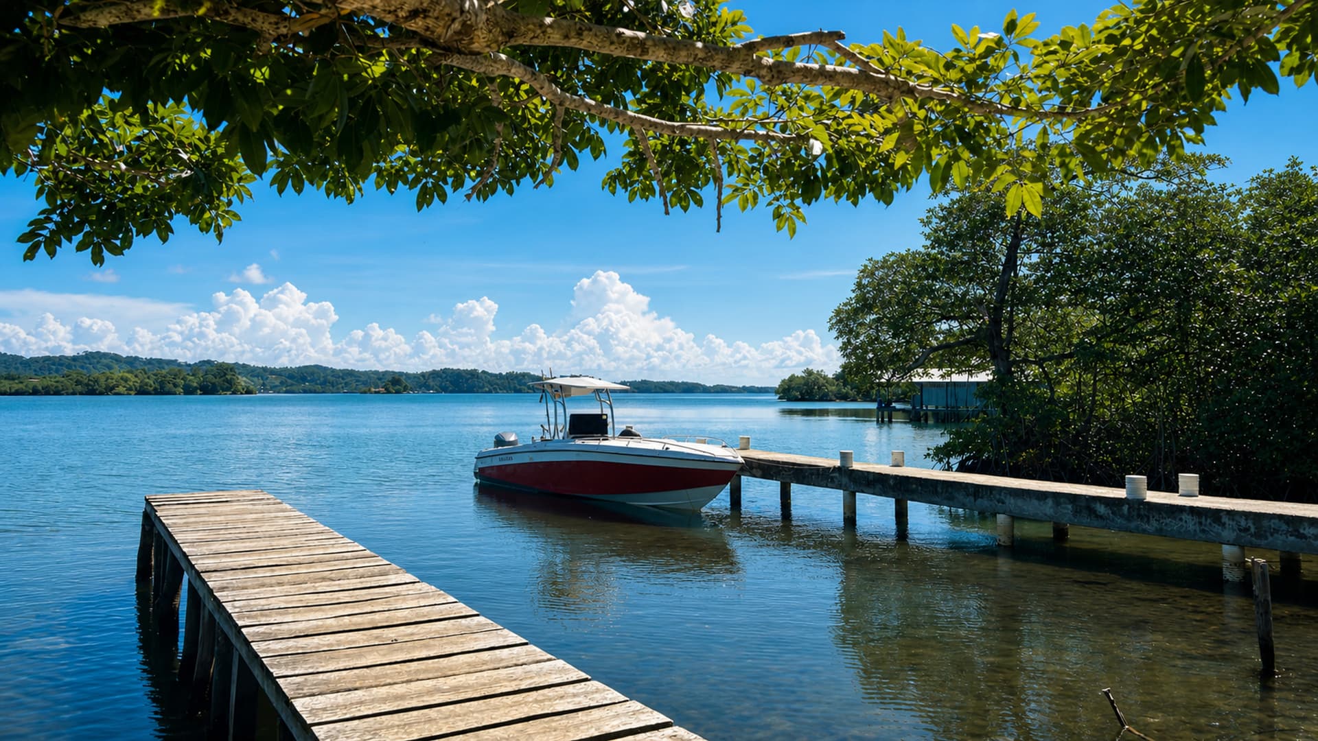 Dock and boat background