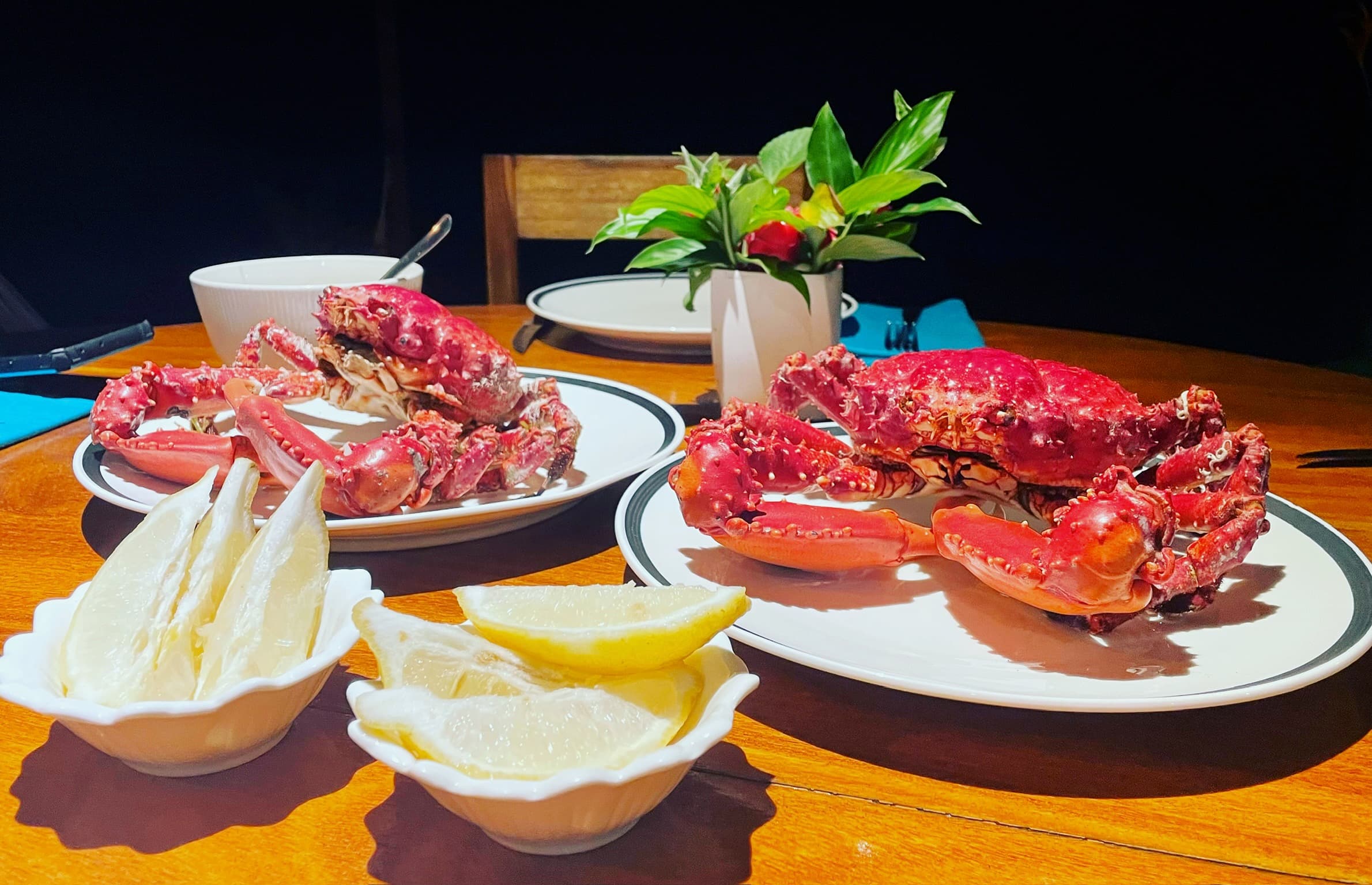 Locally sourced organic ingredients prepared at Blå Bar Restaurant, Dolphin Blue Paradise, Bocas del Toro