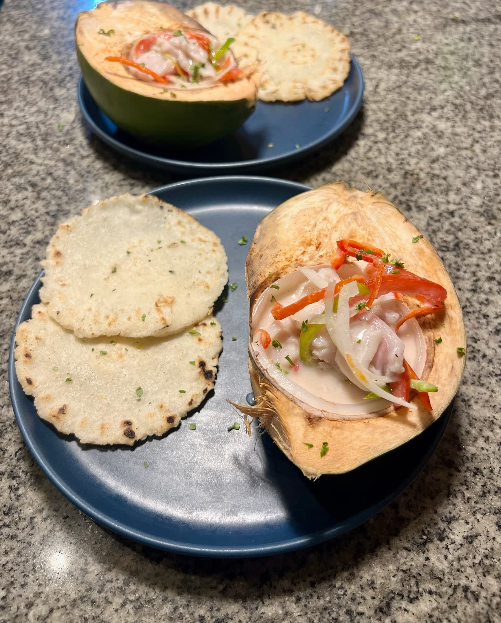 Fresh seafood and local ingredients at Blå Bar Restaurant, Dolphin Blue Paradise, Bocas del Toro