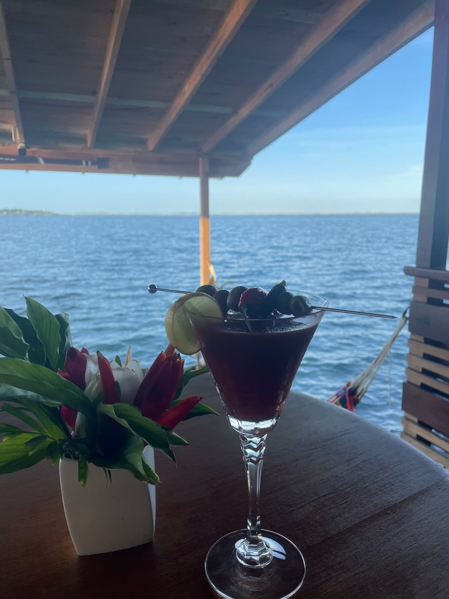 Farm-to-table dining experience at Blå Bar Restaurant, Dolphin Blue Paradise, Bocas del Toro