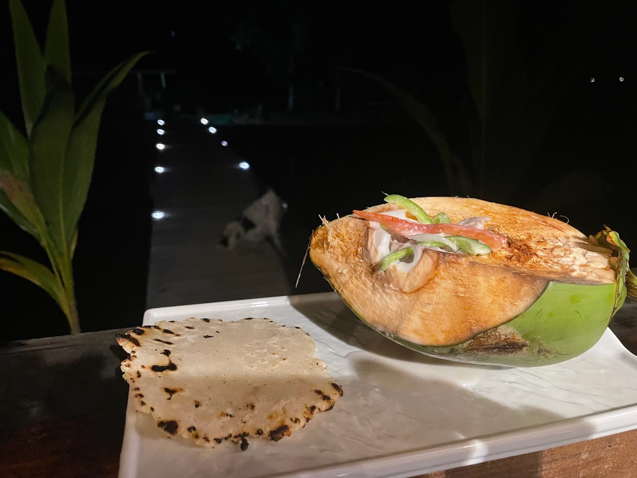 Local ingredients and fresh seafood at Blå Bar Restaurant, Dolphin Blue Paradise, Bocas del Toro