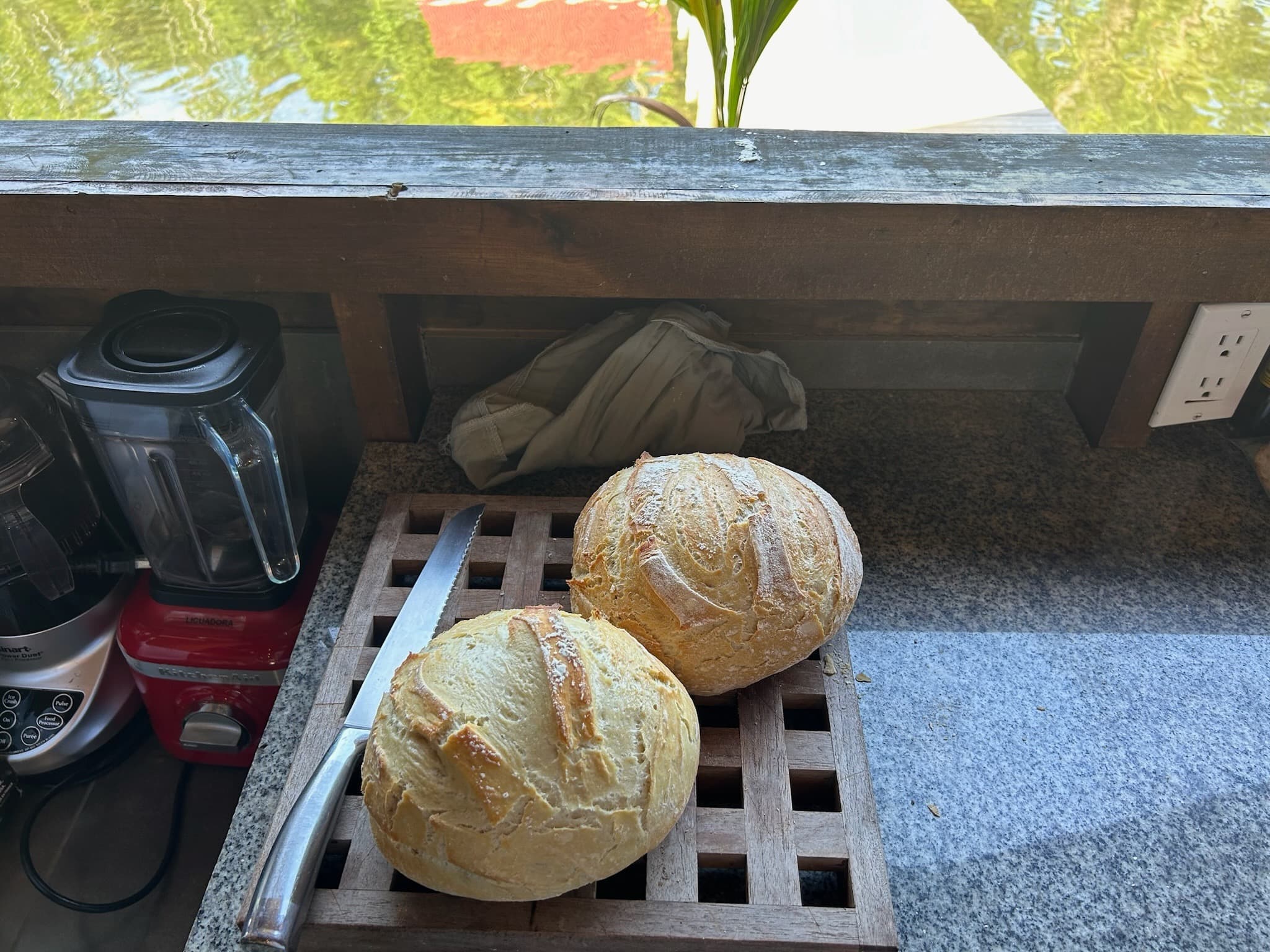 Garden-to-table fresh vegetables and fruits at Blå Bar Restaurant, Dolphin Blue Paradise, Bocas del Toro