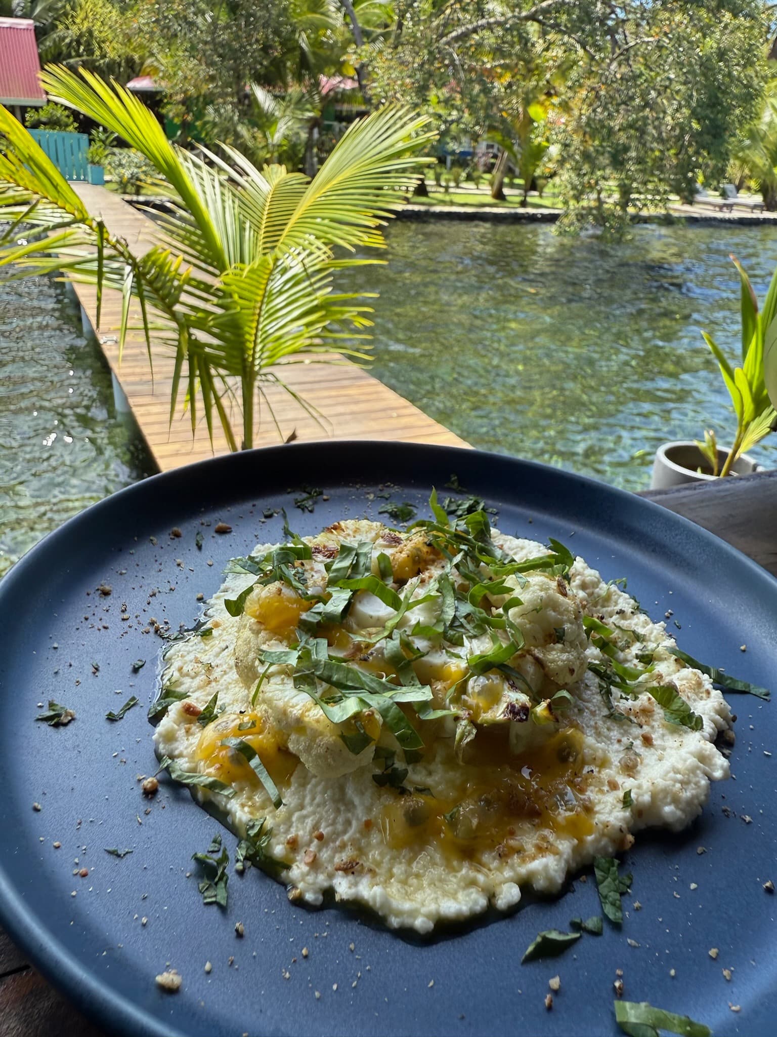 Farm-to-table dining experience with local ingredients at Blå Bar Restaurant, Dolphin Blue Paradise, Bocas del Toro