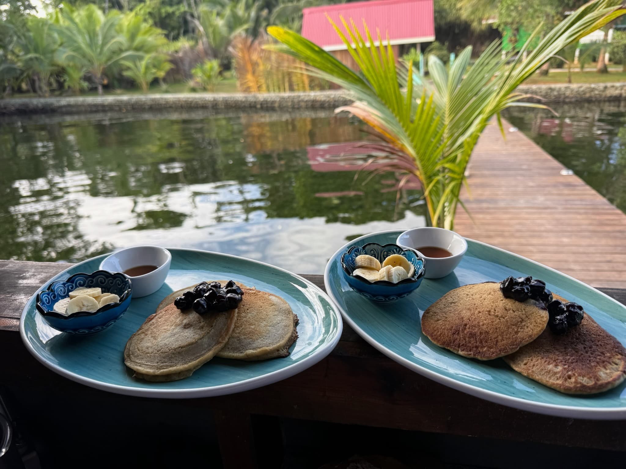 Fresh seafood and local ingredients at Blå Bar Restaurant, Dolphin Blue Paradise, Bocas del Toro
