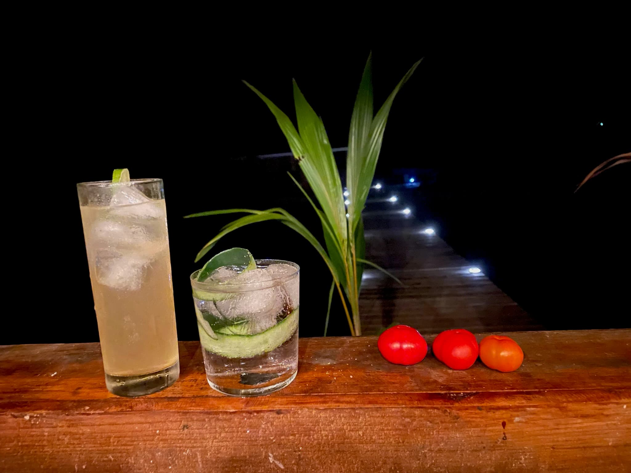 Fresh ingredients from garden and bay at Blå Bar Restaurant, Dolphin Blue Paradise, Bocas del Toro