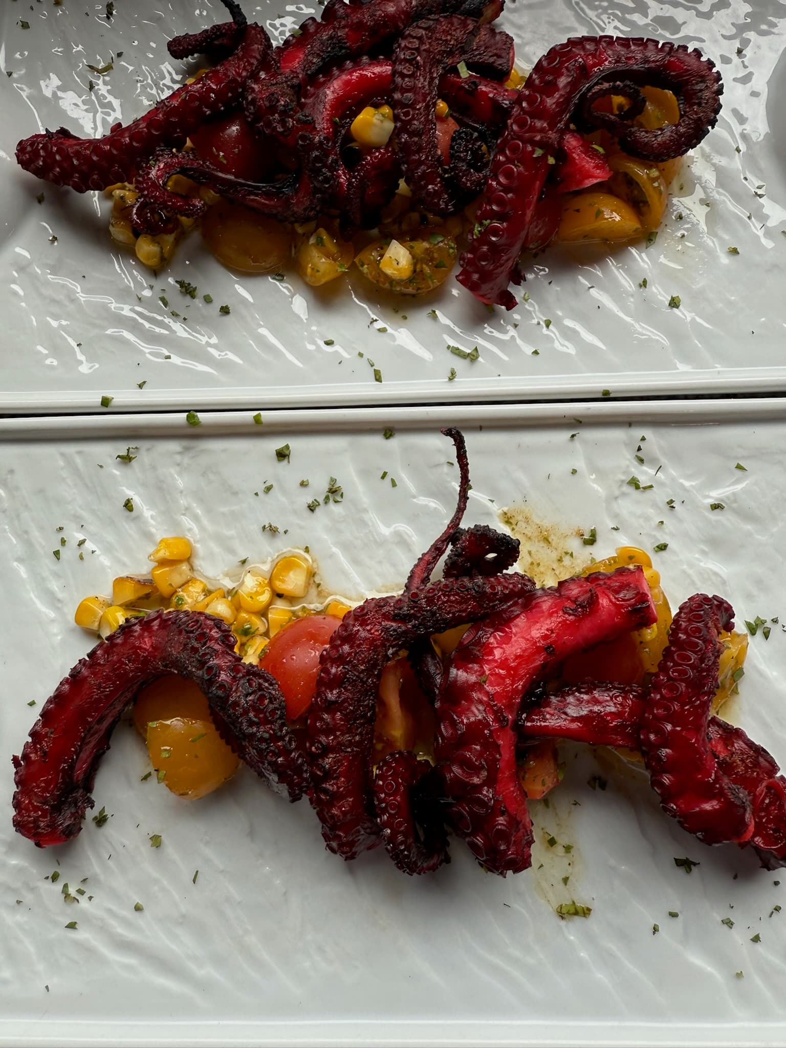 Garden-to-table fresh produce and vegetables at Blå Bar Restaurant, Dolphin Blue Paradise, Bocas del Toro