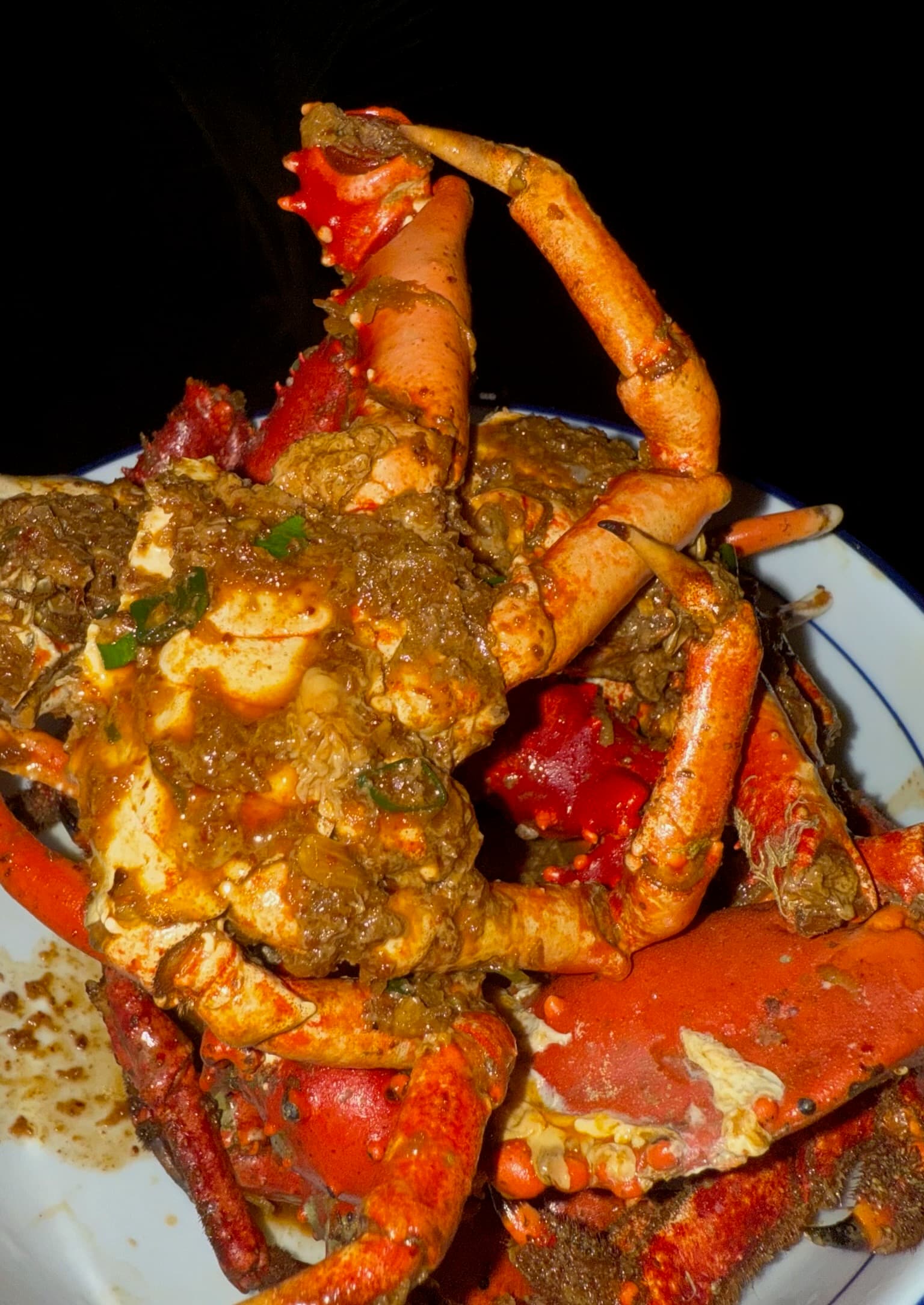 Fresh seafood and local ingredients at Blå Bar Restaurant, Dolphin Blue Paradise, Bocas del Toro