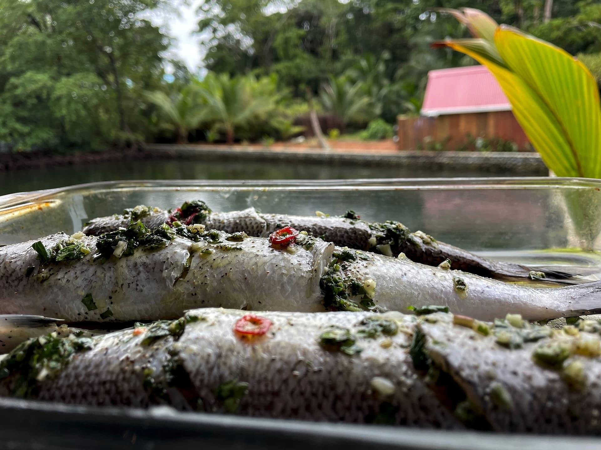 Farm-to-table cuisine with locally sourced ingredients at Blå Bar Restaurant, Dolphin Blue Paradise, Bocas del Toro