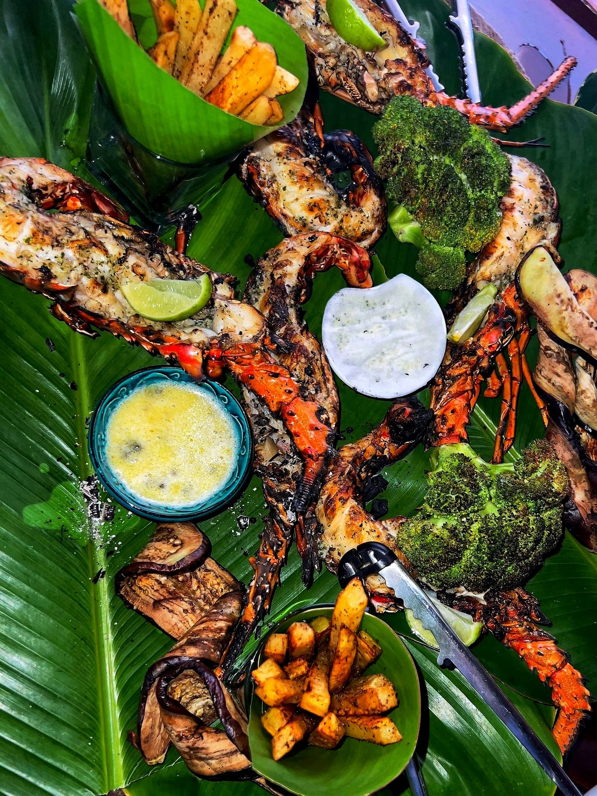 Garden-to-table fresh produce and farm-to-table dining at Blå Bar Restaurant, Dolphin Blue Paradise, Bocas del Toro