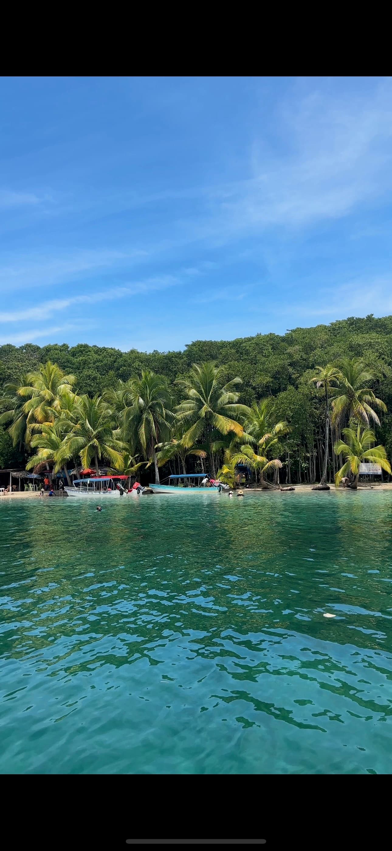 Sunset cruise in Dolphin Bay