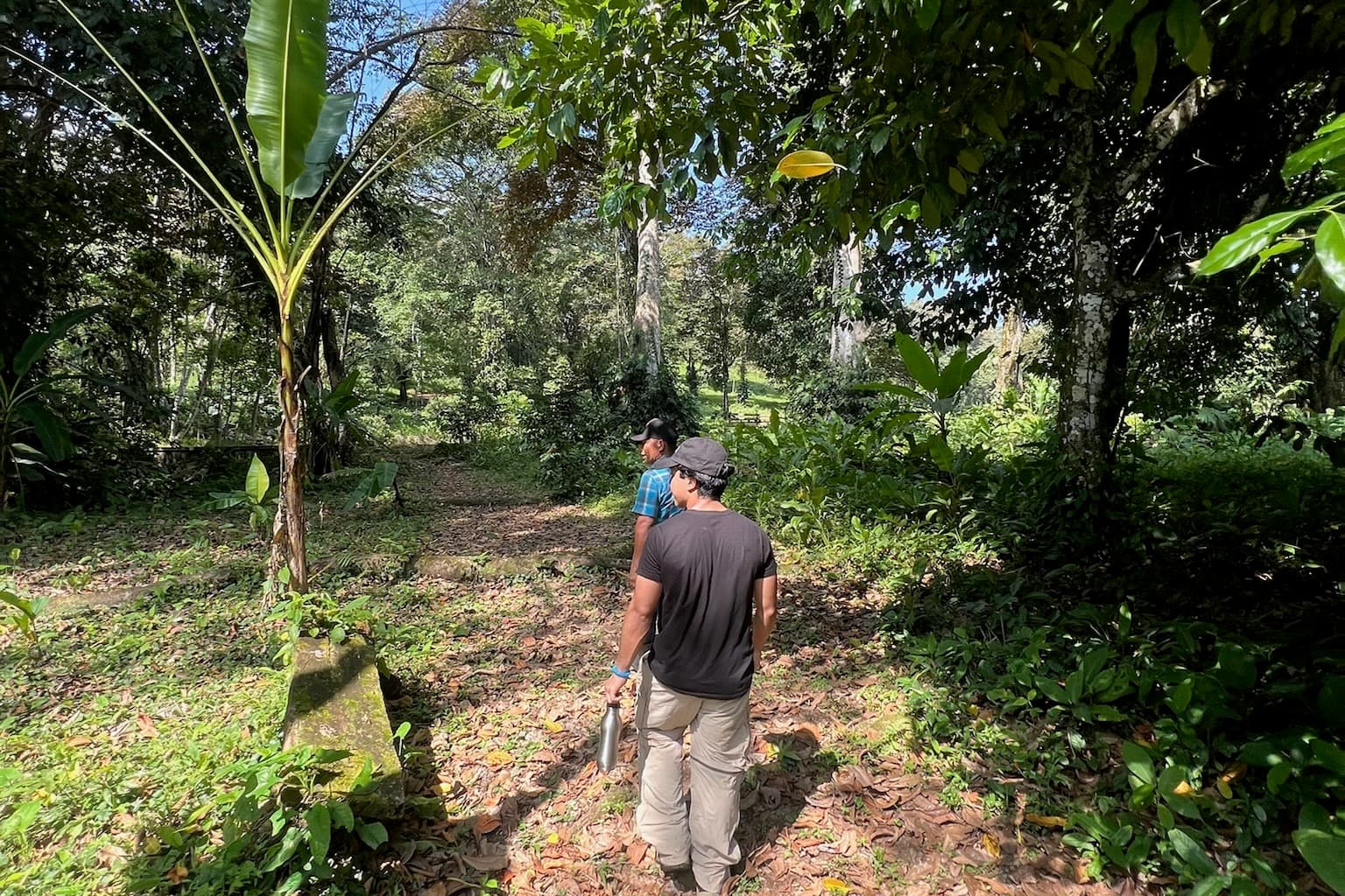 Land Activities