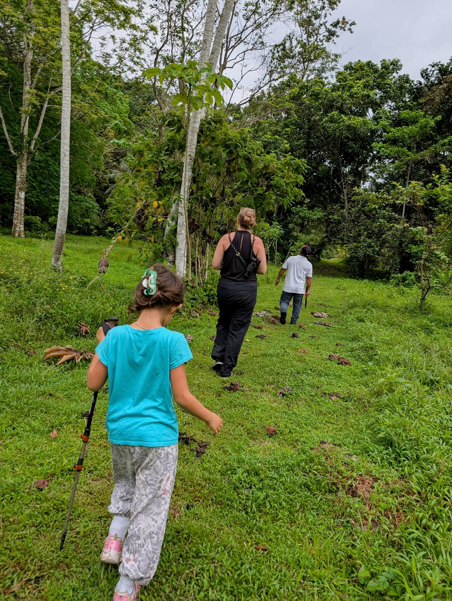 Rainforest hiking experience