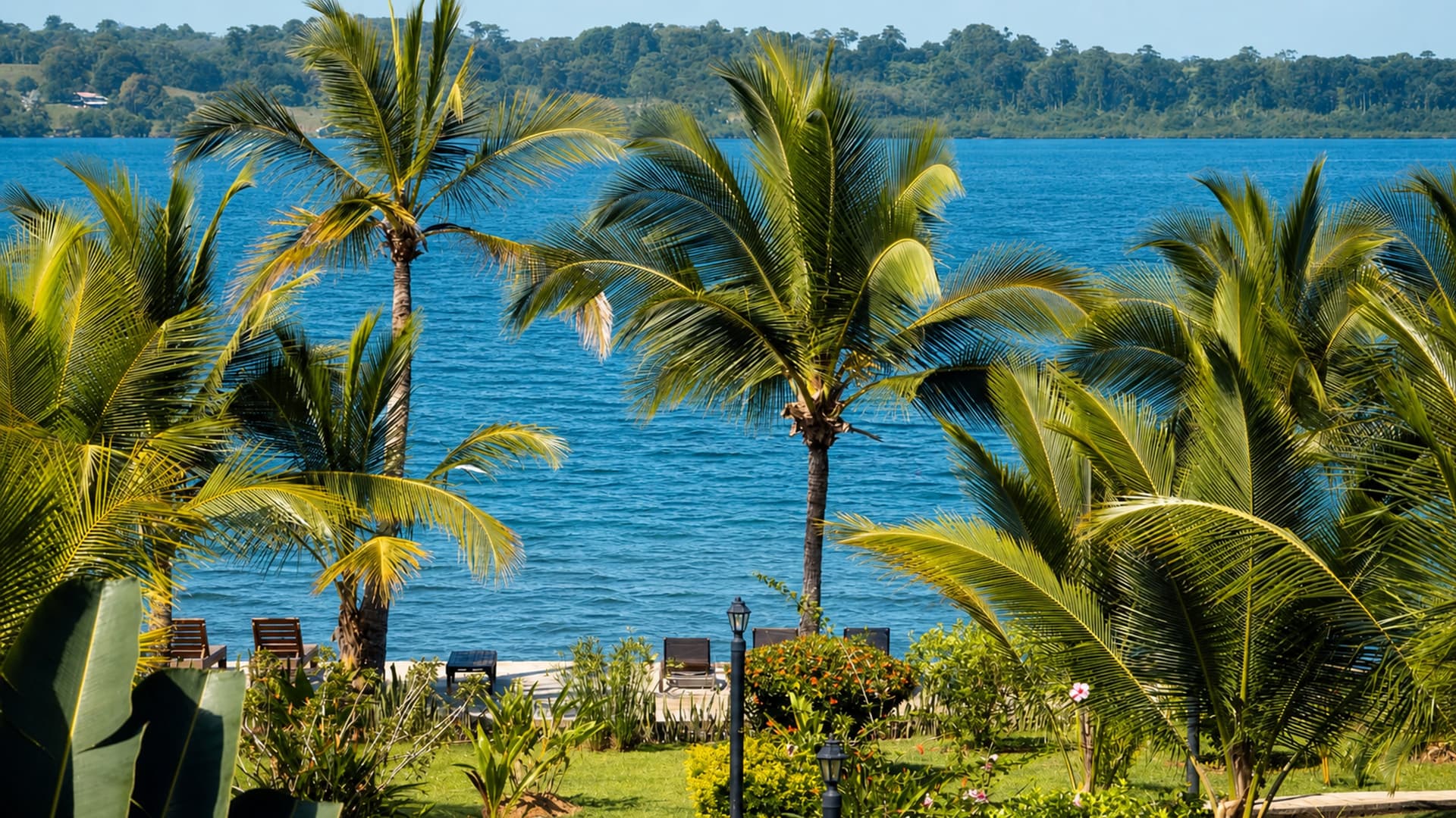 Tropical palms welcoming arrival at Dolphin Blue Paradise - looking towards calm waters of Dolphin Bay, Bocas del Toro, Panama