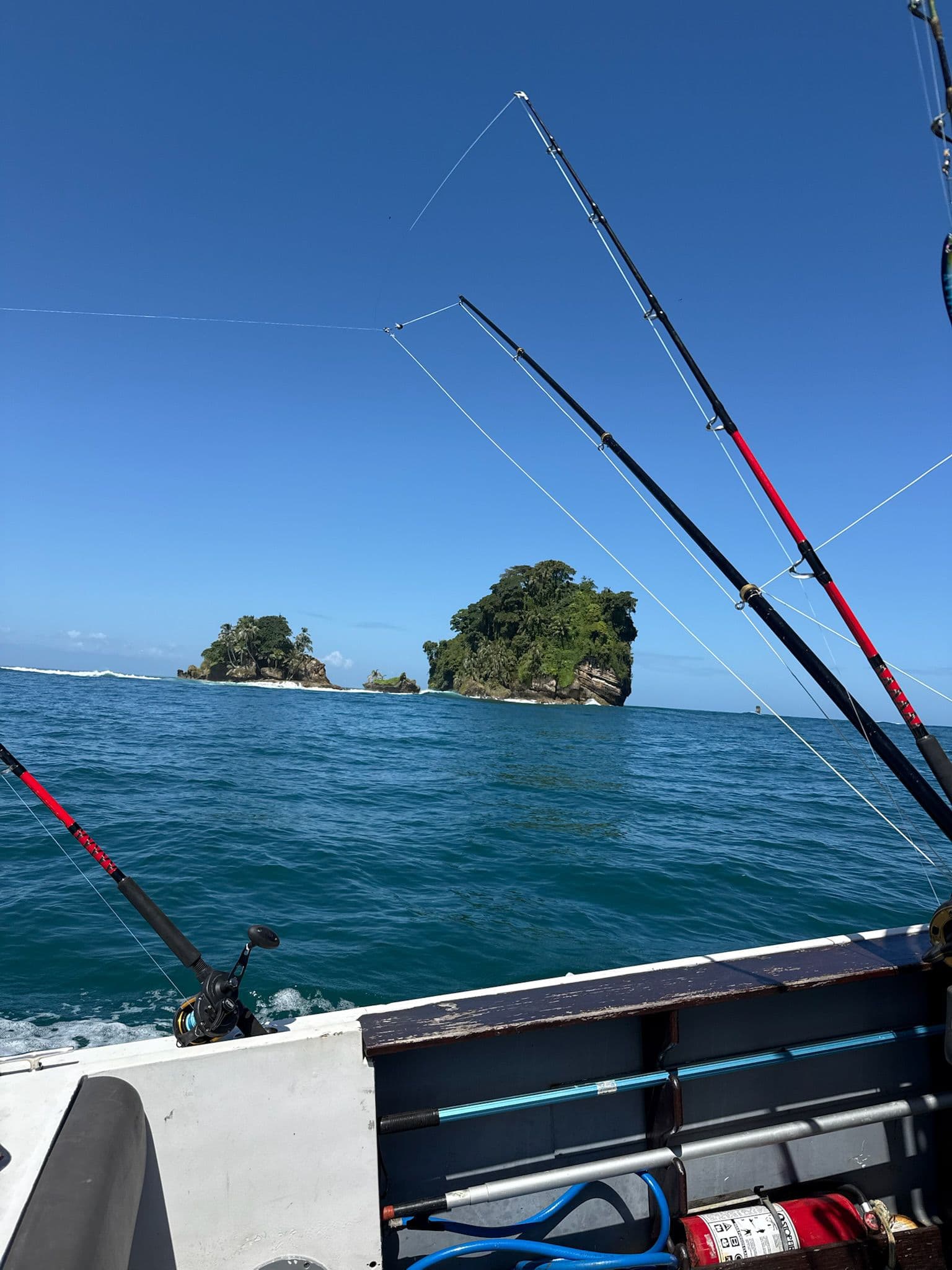 Fishing - Image 4