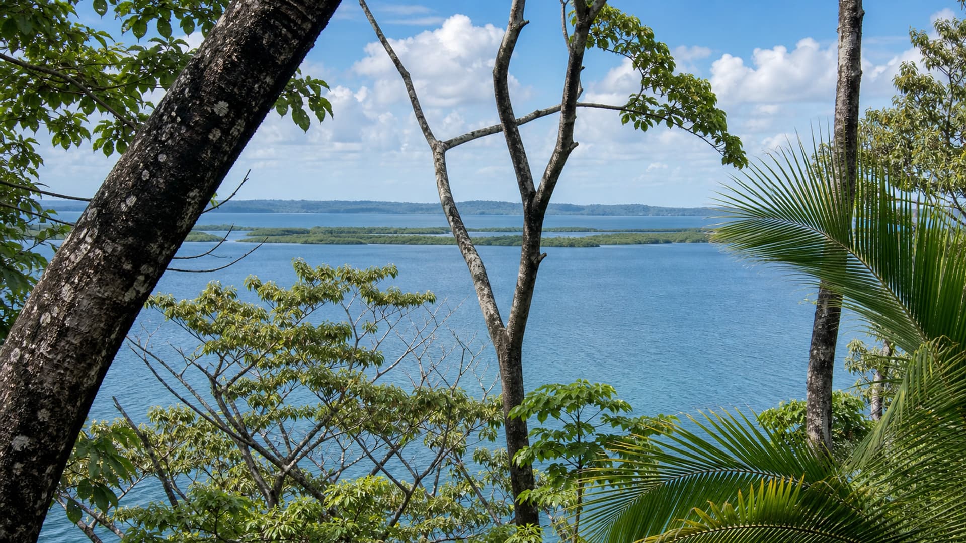 Sunset view of the relaxation area and restaurant at Dolphin Blue Paradise with eco-adventures in Dolphin Bay, Bocas del Toro, Panama
