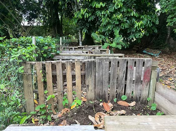 Composting and waste reduction at Dolphin Blue Paradise - kitchen scraps in compost bins, organic matter composting, sustainable waste management, Bocas del Toro