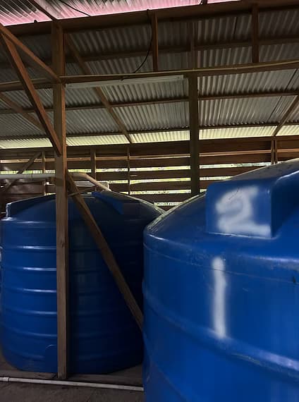 15,000L rainwater collection tanks and water filtration system at Dolphin Blue Paradise, Bocas del Toro - sustainable water infrastructure