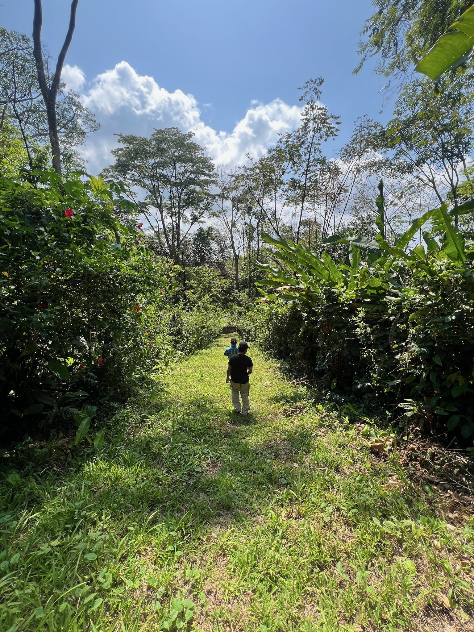 Chocolate farm tour
