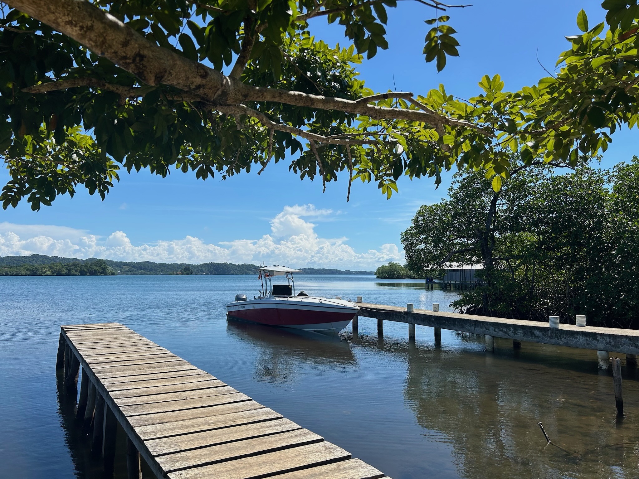 Fondo de muelle y lancha