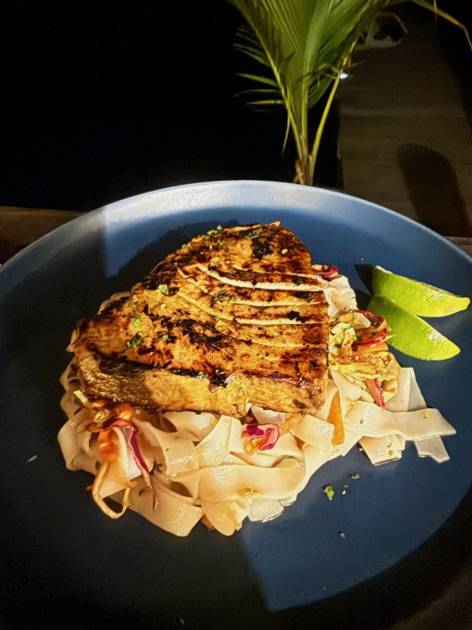 Farm-to-table cuisine prepared with local ingredients at Blå Bar Restaurant, Dolphin Blue Paradise, Bocas del Toro