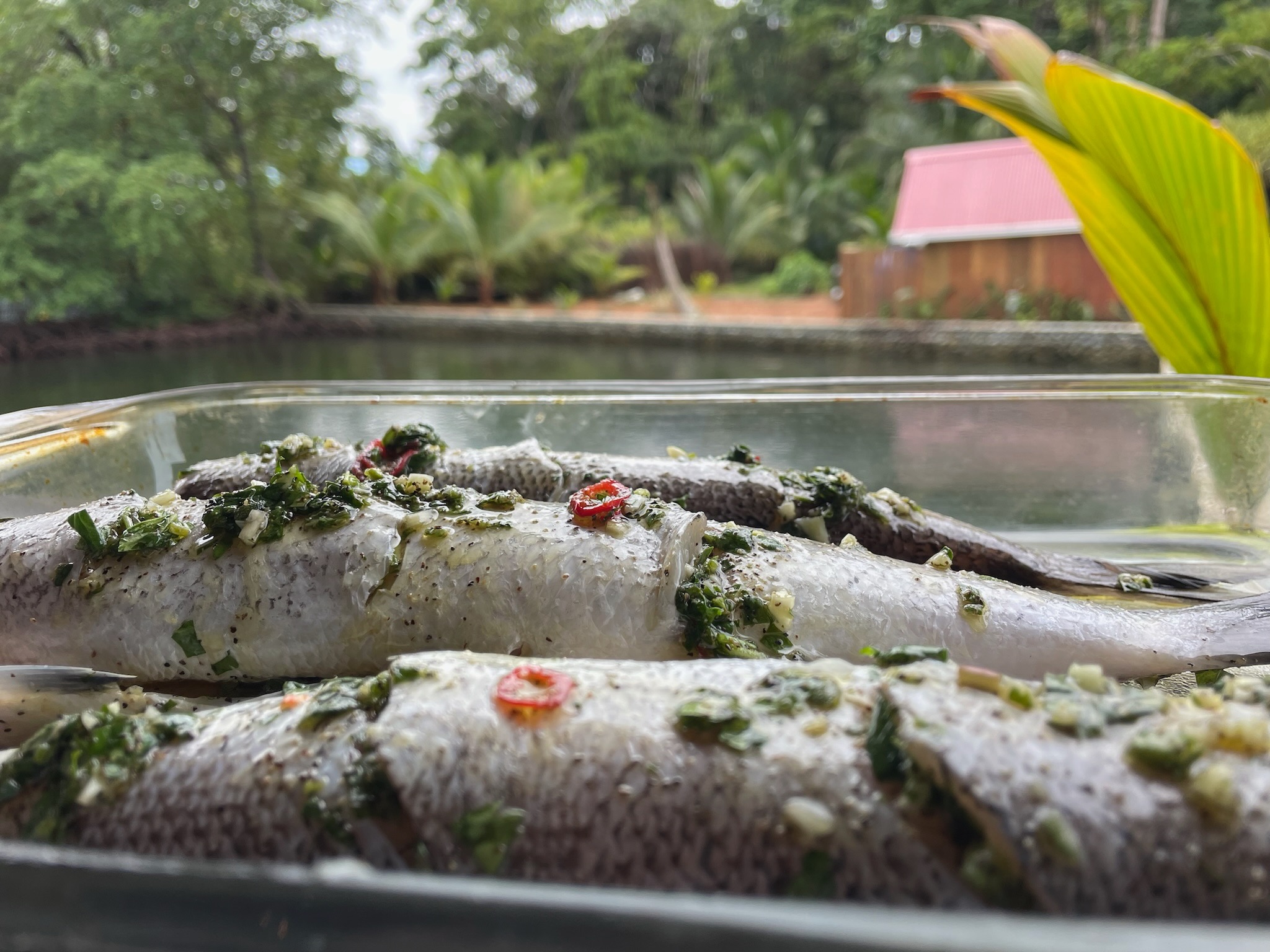 Farm-to-table cuisine with locally sourced ingredients at Blå Bar Restaurant, Dolphin Blue Paradise, Bocas del Toro