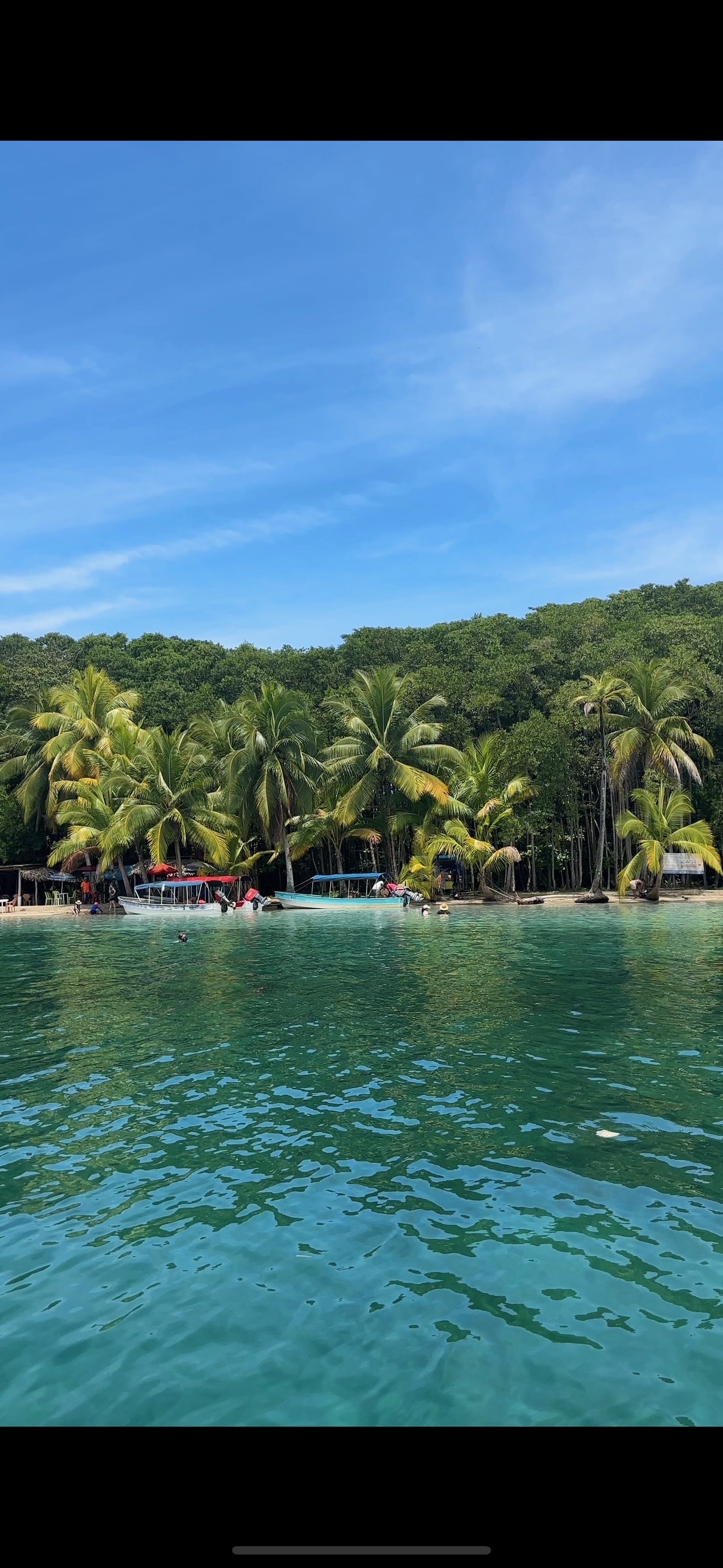 Sunset cruise in Dolphin Bay