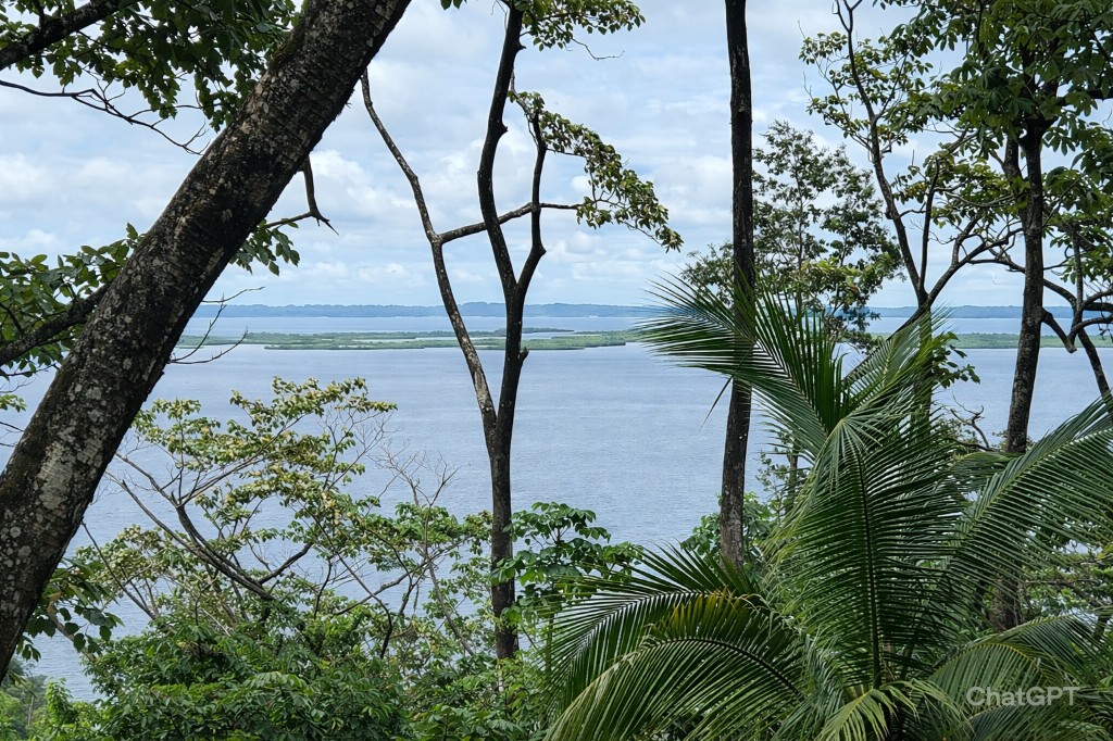 Vista al atardecer del área de relajación y restaurante en Dolphin Blue Paradise con aventuras ecológicas en Bahía Delfines, Bocas del Toro, Panamá