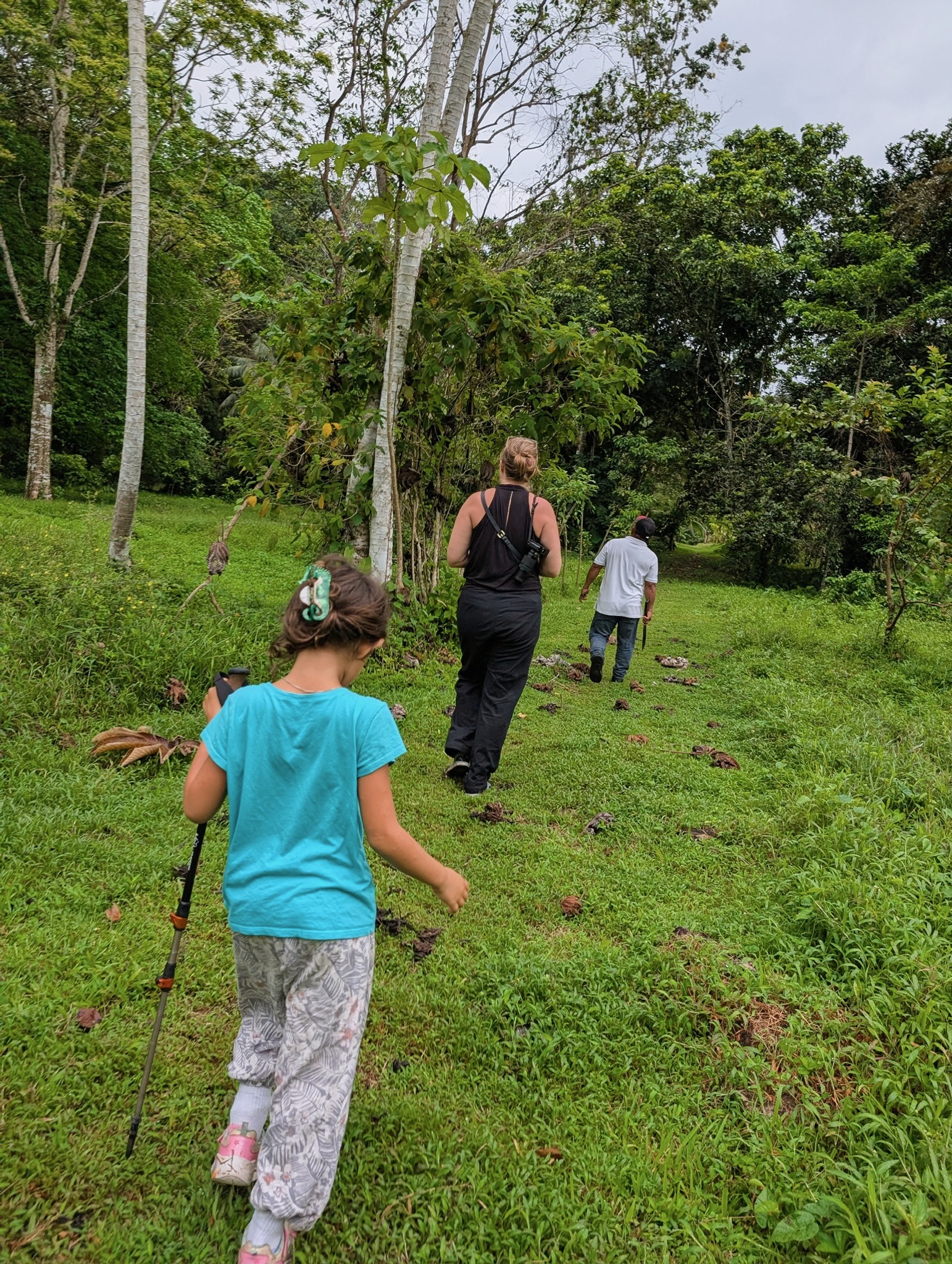 Rainforest hiking experience