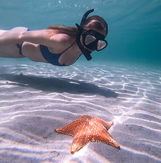 Personalized service at Dolphin Blue Paradise